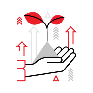 sky-rocket-consulting-creative-strategies