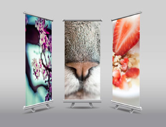 sky-rocket-consulting-services-banners-and-display-signage