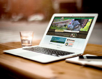 sky-rocket-consulting-services-website-design-hosting